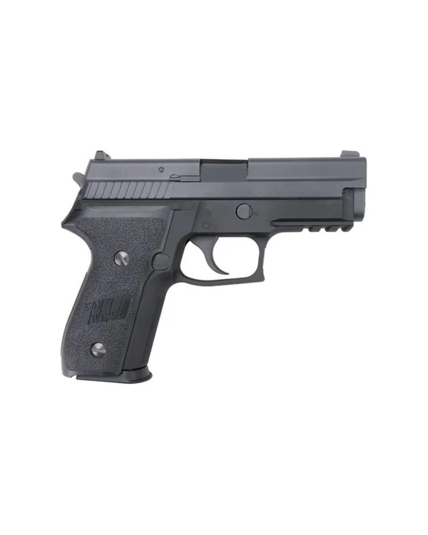 WE P229R